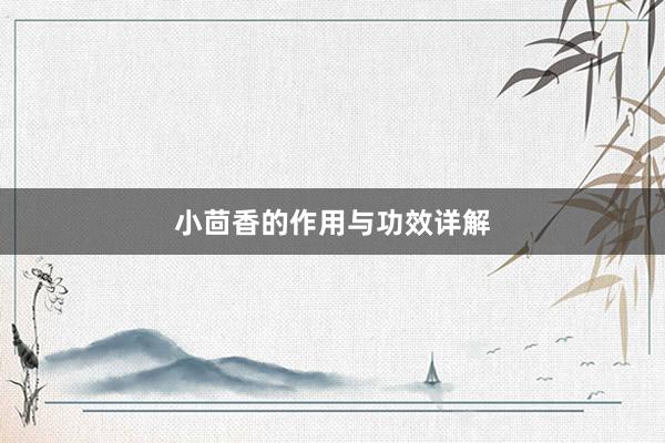 小茴香的作用与功效详解